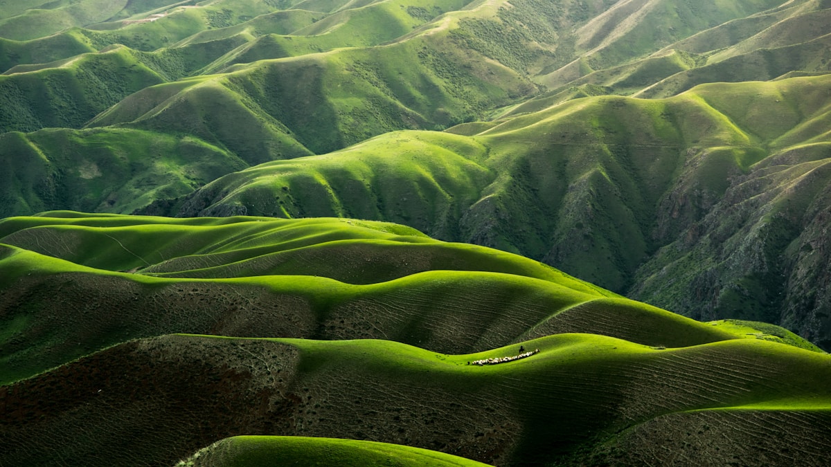 Natureza cearense nas férias de julho — Foto: Unsplash