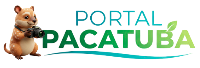 Portal Pacatuba